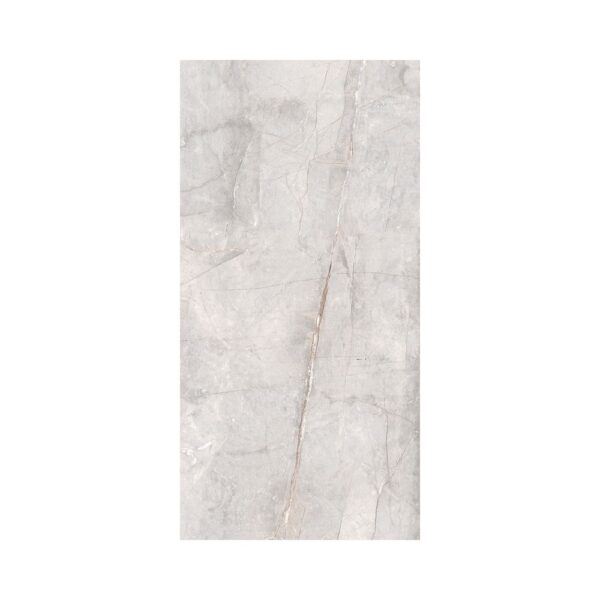 Grigio 12X24 Matte