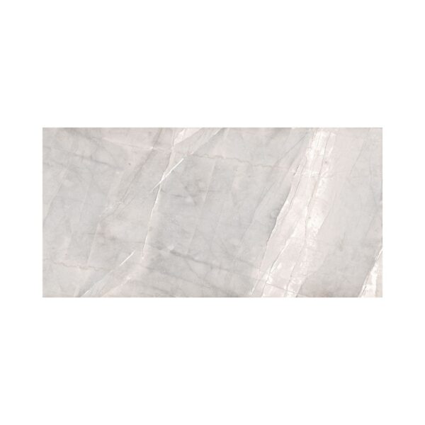 Grigio 24X48 Matte