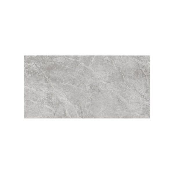 Grigio 24X48 Polished