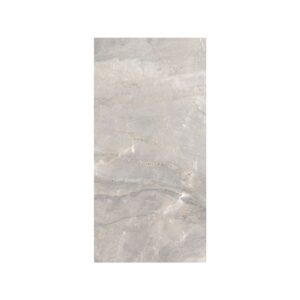 Lt Grey 12X24 Matte
