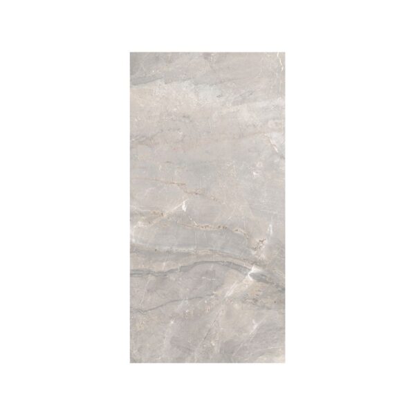 Lt Grey 12X24 Matte
