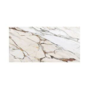 Macchia Antica 24X48 Polished