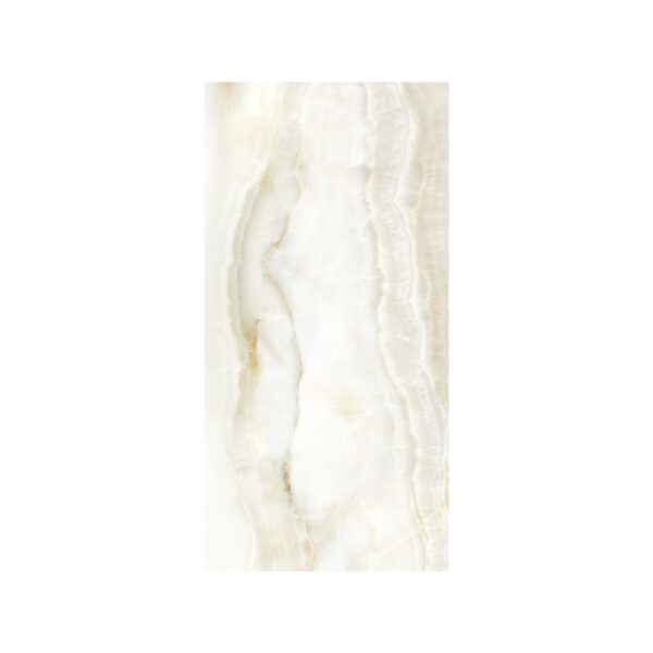 Onyx White/Hegel 24X48 Polished