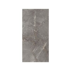 Silver 12X24 Polished