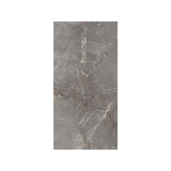Silver 12X24 Polished