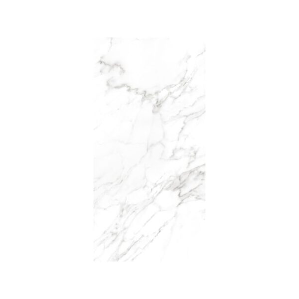Statuario 24X48 Matte