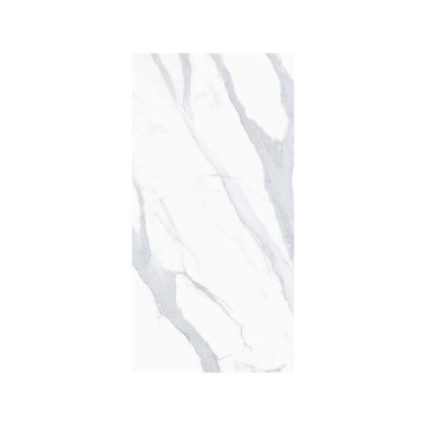 Venato 12X24 Polished