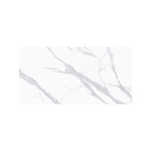 Venato 18X36 Matte