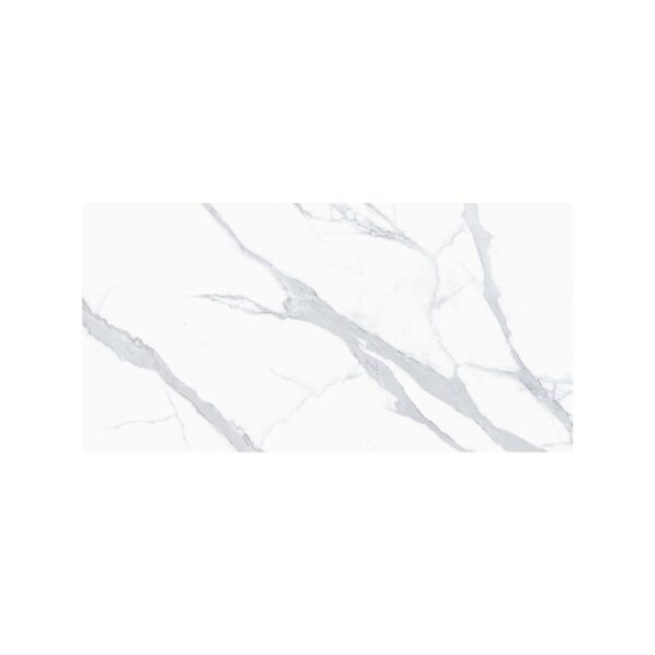 Venato 18X36 Matte