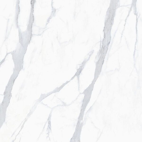 Venato 24X24 Matte
