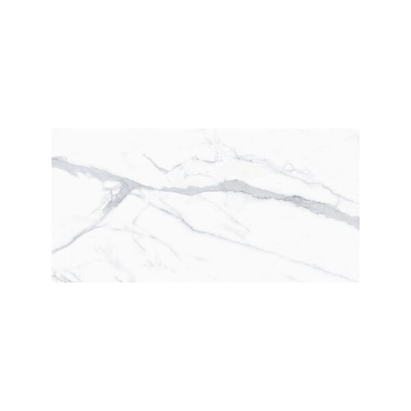 Venato 24X48 Polished