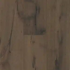 Fossil