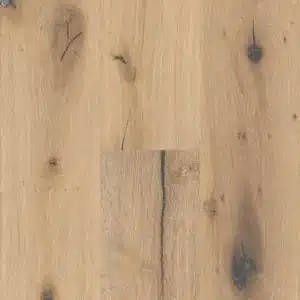 Sand Bar