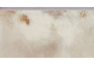 Reves Noisette Matte Bullnose 3 x 12