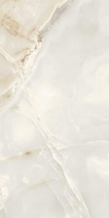 Reves Perle Matte 24 x 48