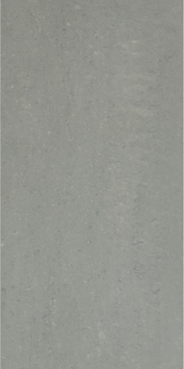 Grey Light Polished 12 x 24