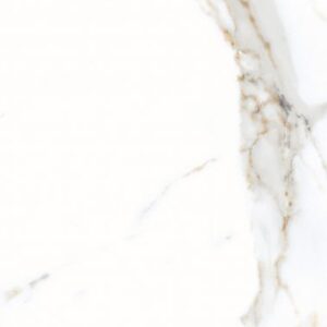 AGL Apia Orange Matte 12 x 24