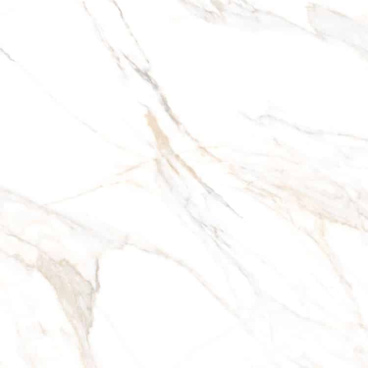 Aurum Calacatta Polished 36 x 36