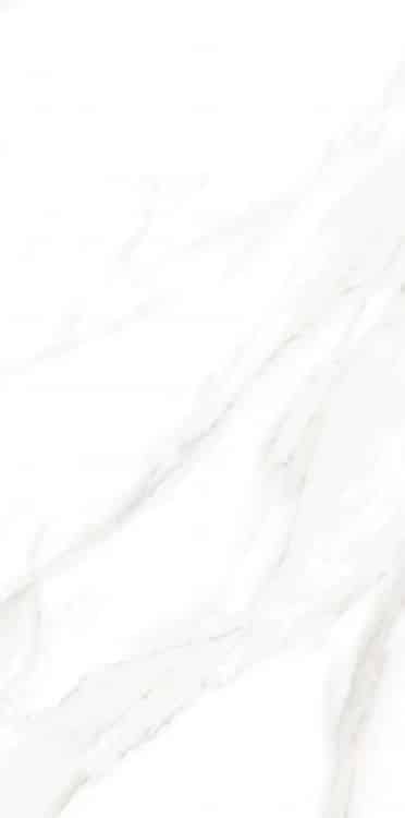 EC Calacatta Gold Matte 12 x 24