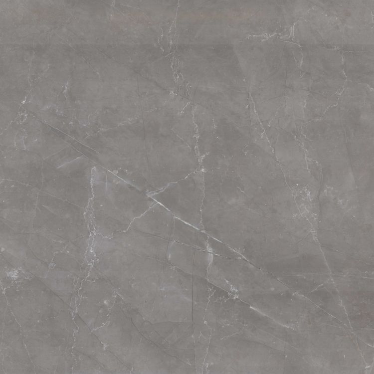 Tekali Gris Polished 24 x 24
